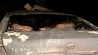 При пожаре в гаражном кооперативе «Урал» пострадали два автомобиля