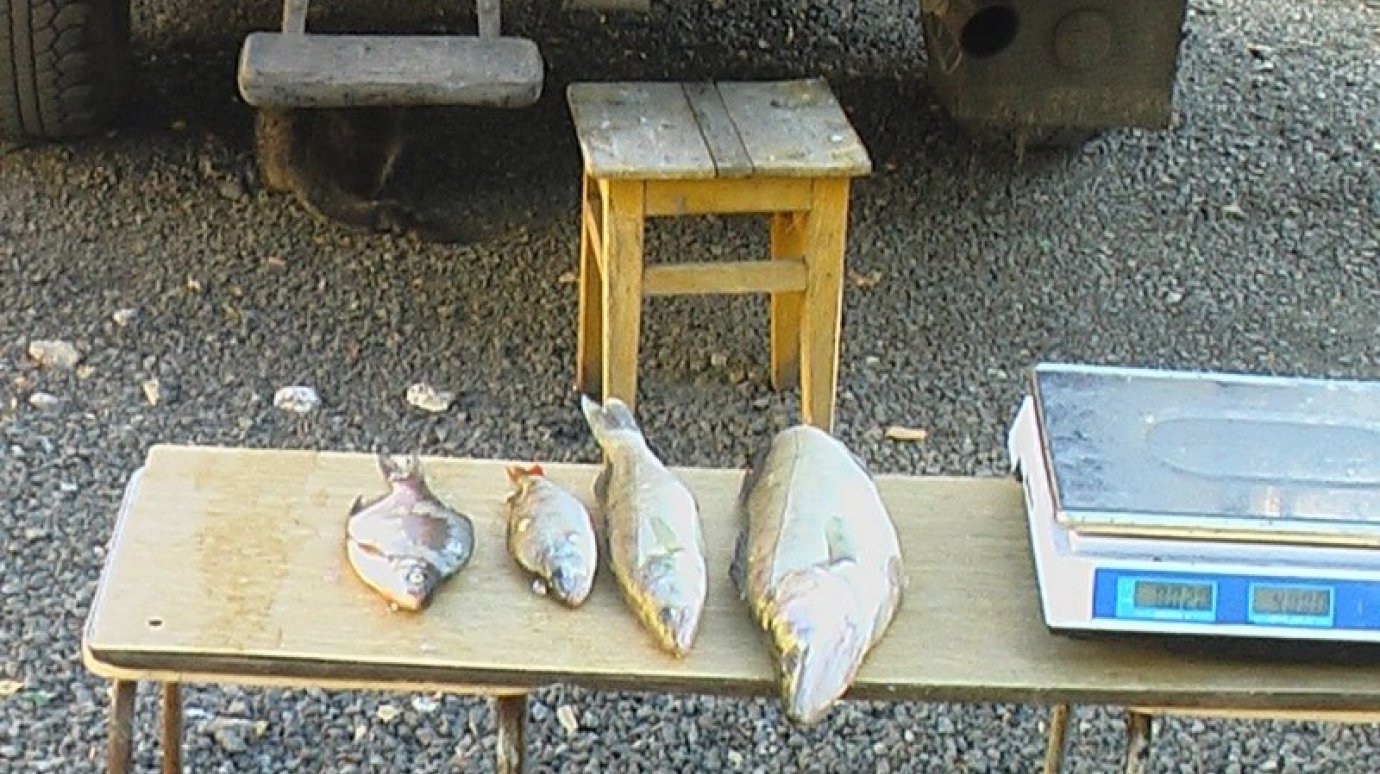 В Чемодановке торговец оштрафован за продажу речной рыбы на ярмарке