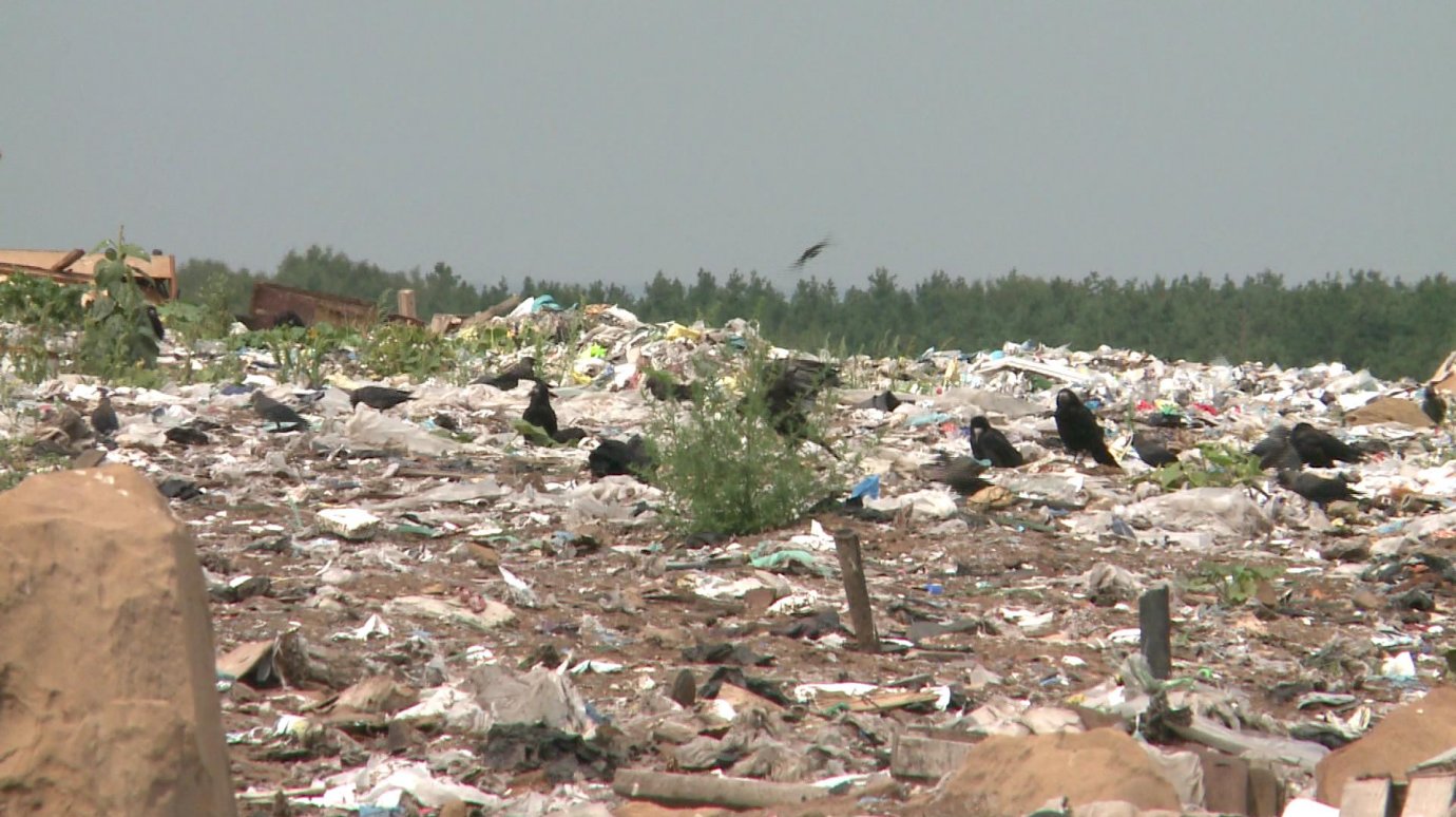 В Пензе недостаточно отходов для строительства завода по переработке мусора