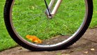 В Каменском районе 32-летний велосипедист погиб в ДТП с «Нивой»