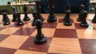 В открытом турнире по шахматам примут участие дети от 5 до 16 лет