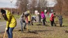 В Городе Спутнике прошла экологическая акция «Посади дерево!»