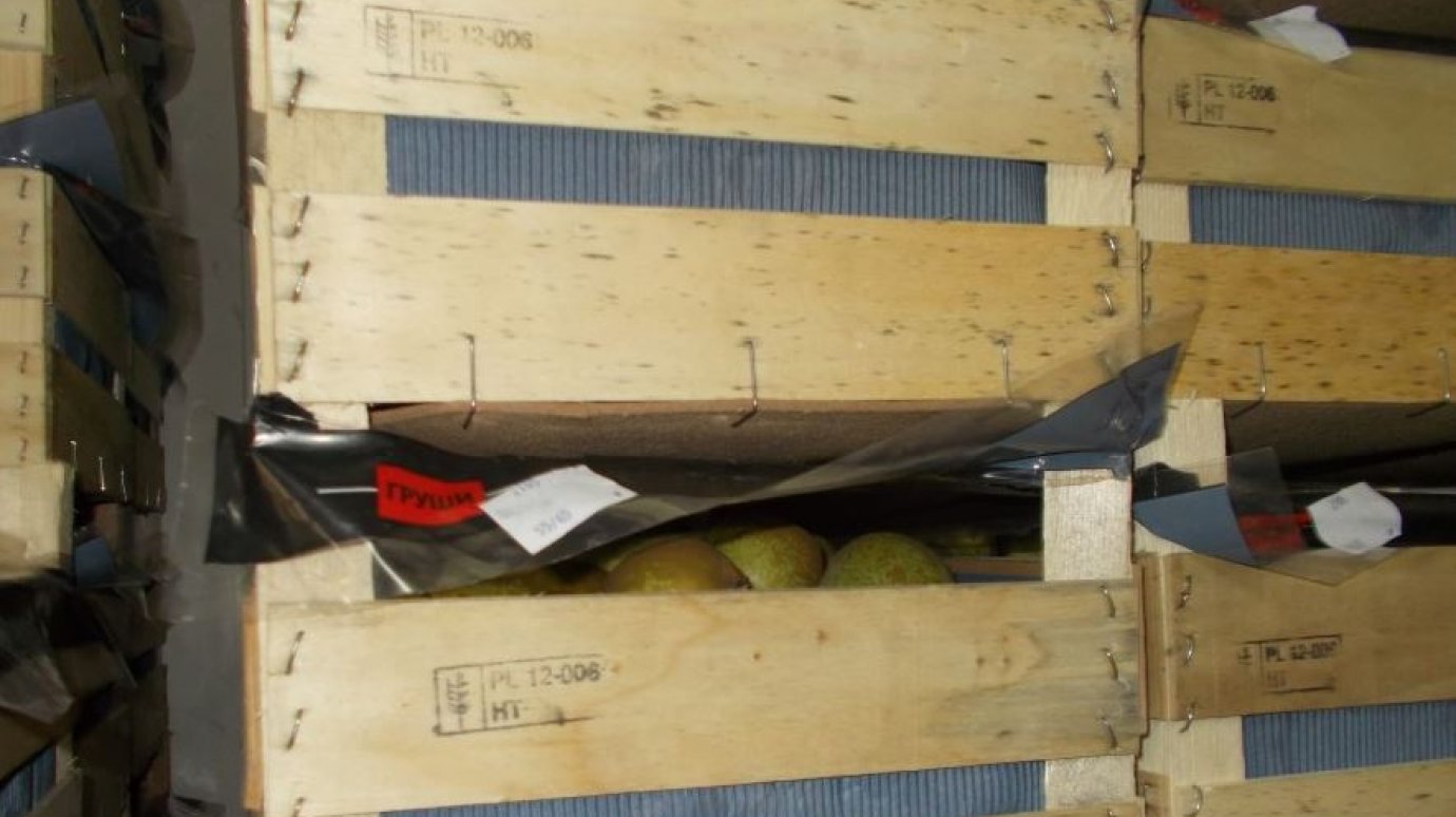 На Чемодановской свалке в Пензе уничтожили 171,3 кг польских груш