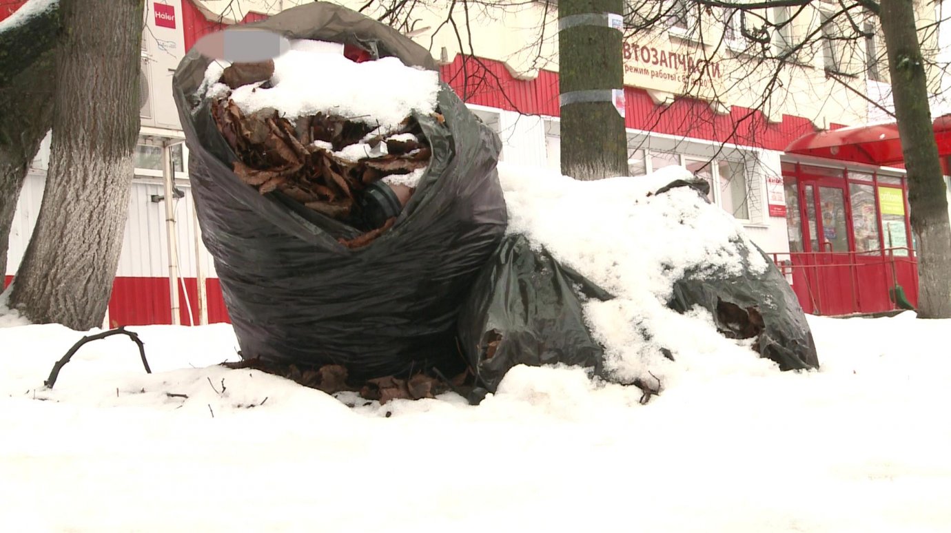 Пакеты с мусором на улице Ладожской не убирают несколько месяцев