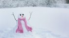 Зоопарк приглашает пензенцев принять участие в «Параде снеговиков»