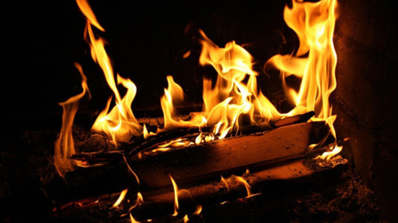 ГУ МЧС: За праздники в пожарах погибли 3 жителя Пензенской области