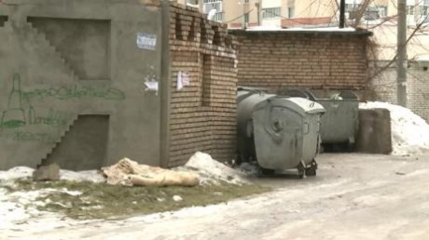 В Русском Камешкире мусорный контейнер исчез вместе с содержимым