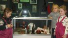 Жителей и гостей Кузнецка приглашают на выставку предметов купеческого быта