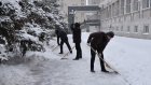 Пензенские чиновники вооружились лопатами и вышли чистить снег