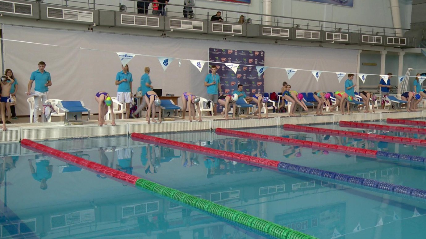 В Пензе прошел открытый кубок Детской лиги плавания «Поволжье»