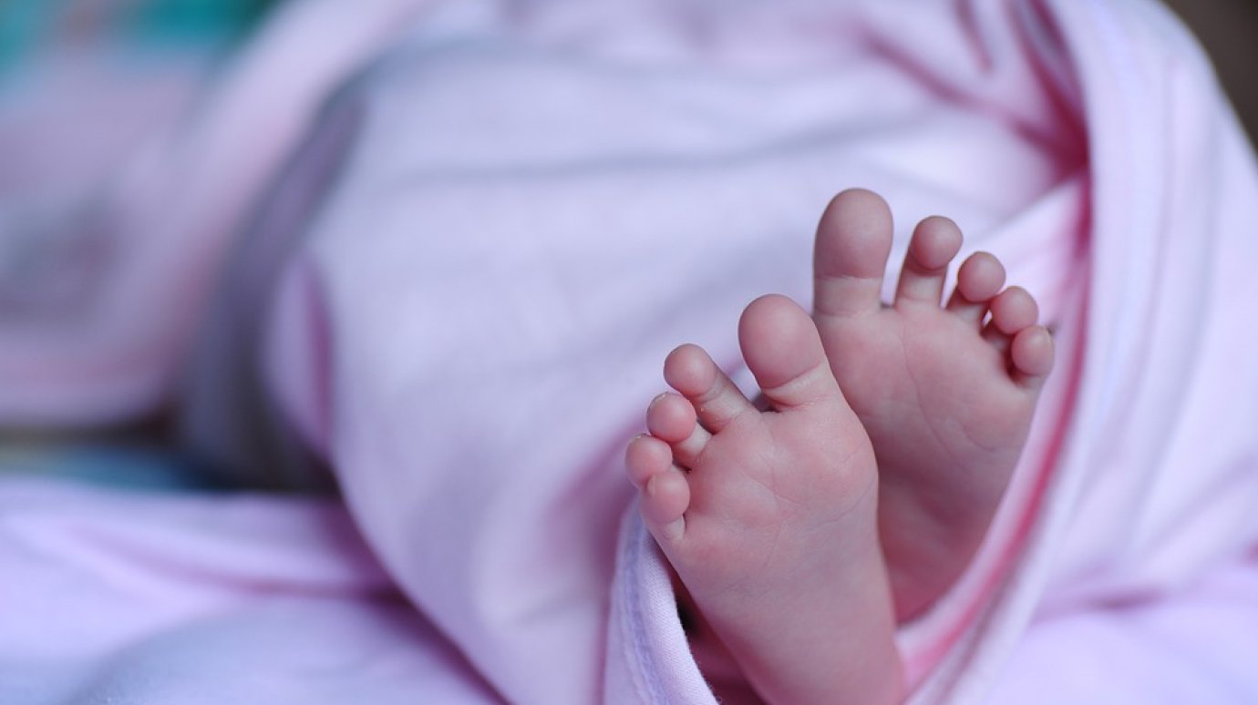 В Пензенской области выплаты при рождении первенца оформили 50 семей