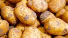 Зареченец вынес из чужого погреба 100 килограммов картошки