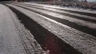 Пензенских водителей и пешеходов предупредили о снегопадах