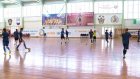 «Лагуна -УОР» сыграет первый матч в плей-офф чемпионата России