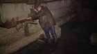 В подвале дома на Аустрина, 162, разлились зловонные озера