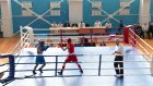 В Пензе стартовали чемпионат и первенство области по боксу