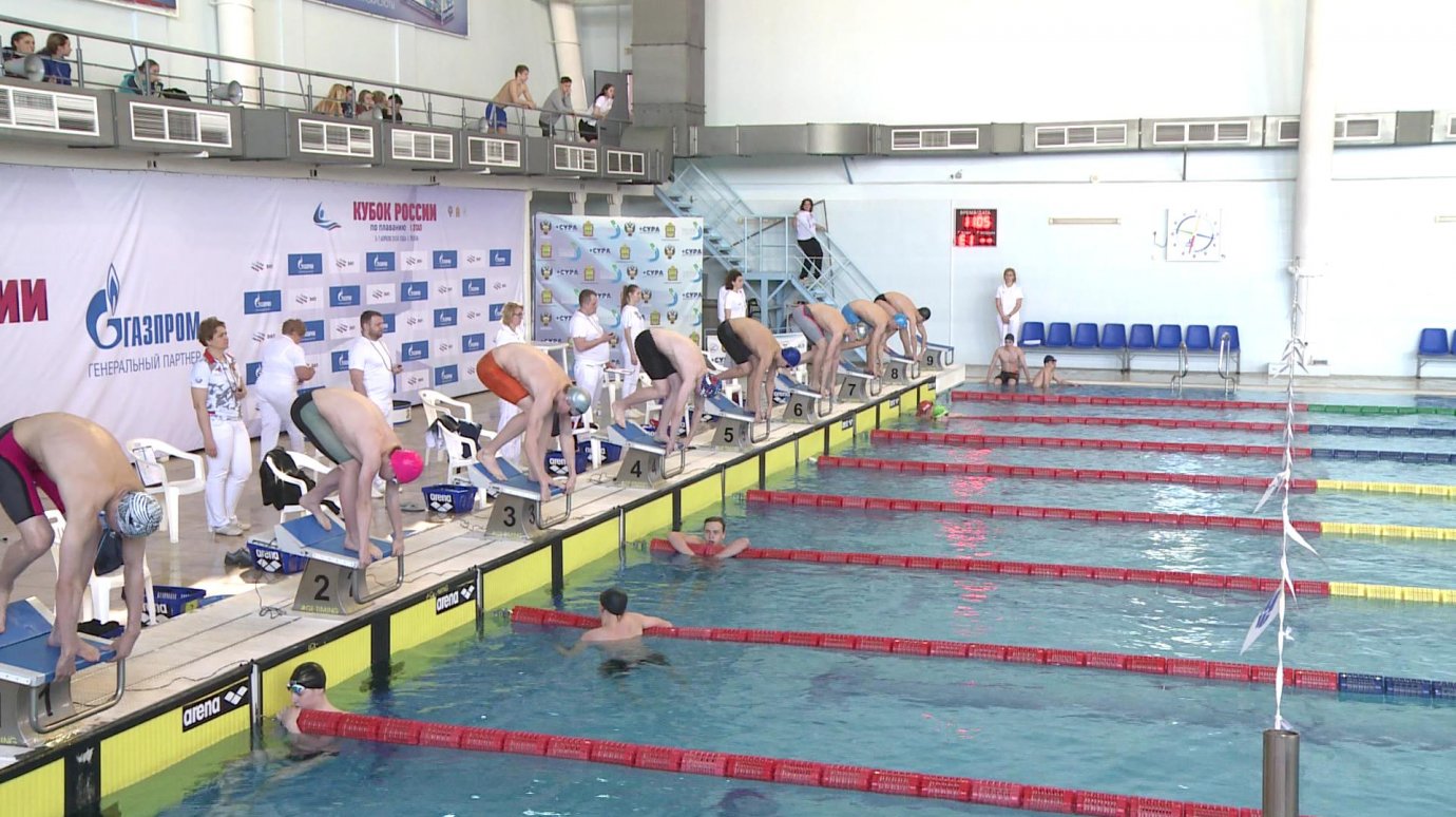 В Пензе на Кубке России по плаванию сразятся более 300 спортсменов