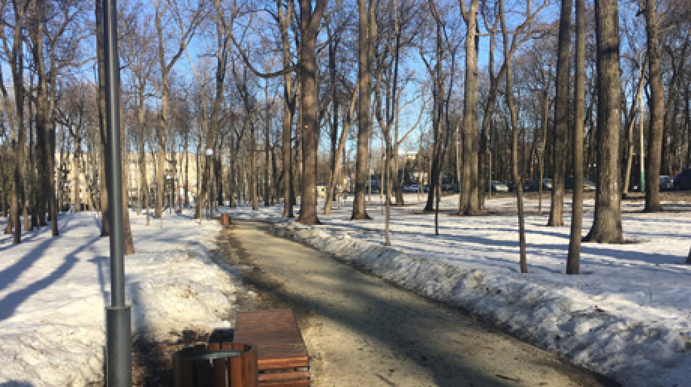 В этом году лес на Западной расчистят до улицы Ленинградской