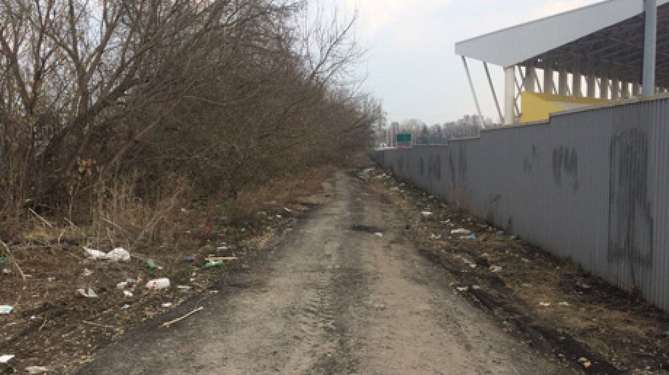 Житель Пензы удивился обилию мусора у стадиона «Первомайский»