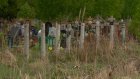 В Кузнецке студенты облагораживают могилы солдат