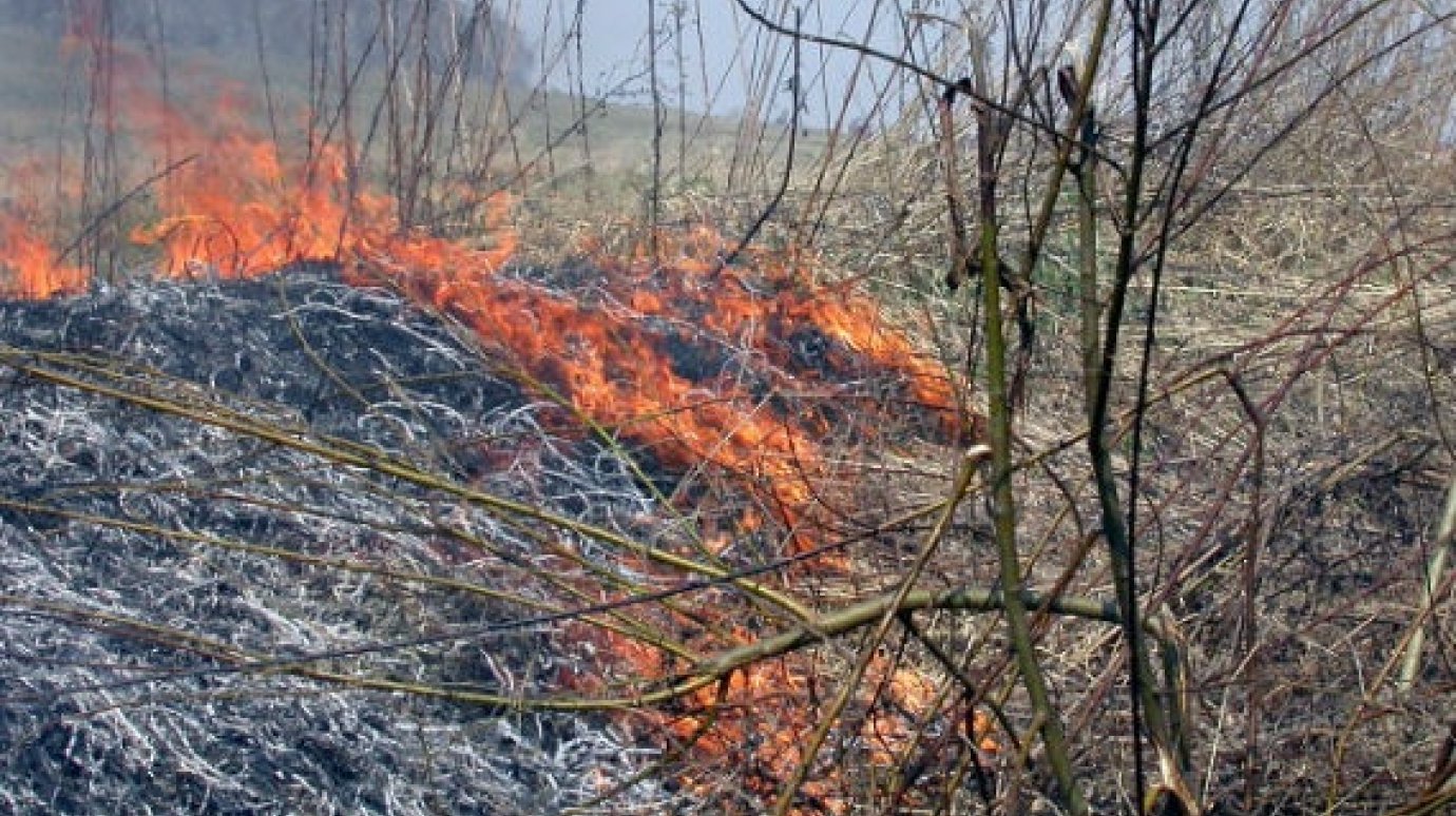 Пензенские пожарные ежедневно борются с возгоранием сухой травы