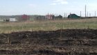 В микрорайоне Заря сгорела часть посаженного 5 мая парка «Дружба»