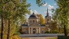 Растущий в «Тарханах» вяз претендует на звание российского дерева года