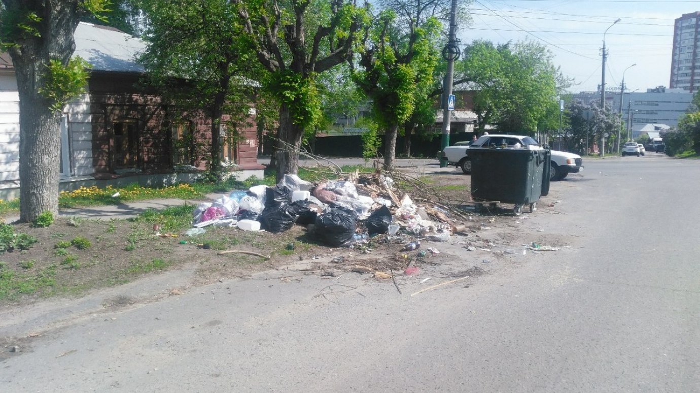 С ул. Ключевского полтора месяца не вывозят собранный пензенцами мусор