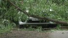 На улице Карпинского ствол дерева упал на проезжавший мимо автомобиль