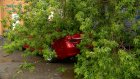 В Пензе три автомобиля пострадали от упавшего во время непогоды дерева