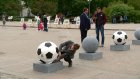 Пензенцы оценили футбольное оформление улицы Московской