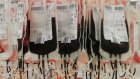 В 2018 году 8 300 жителей Пензенской области стали донорами крови