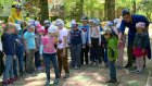 В Пензе в парке «Олимпийский» провели квест-игру для дошкольников