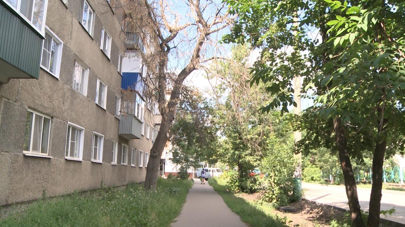 На улице Дзержинского сухое дерево угрожает безопасности прохожих