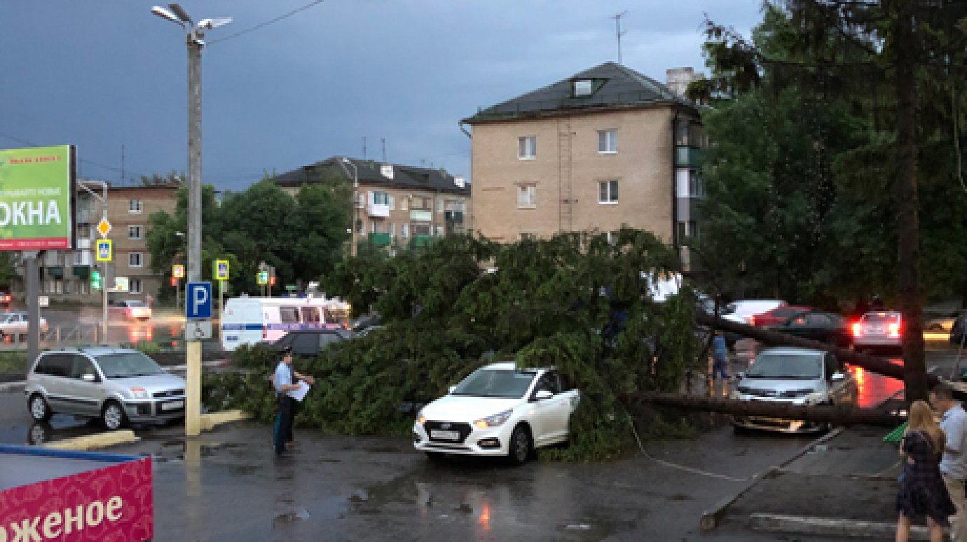 В Пензе у ТЦ «Фортуна» деревья рухнули на машины