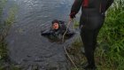 В Нижнеломовском районе в реке Мокше утонул 52-летний мужчина