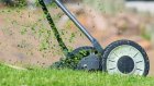 В Пензе к 1 сентября покосят траву у школ и детских садов