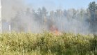 В Бессоновском районе за несколько часов возникло два природных пожара