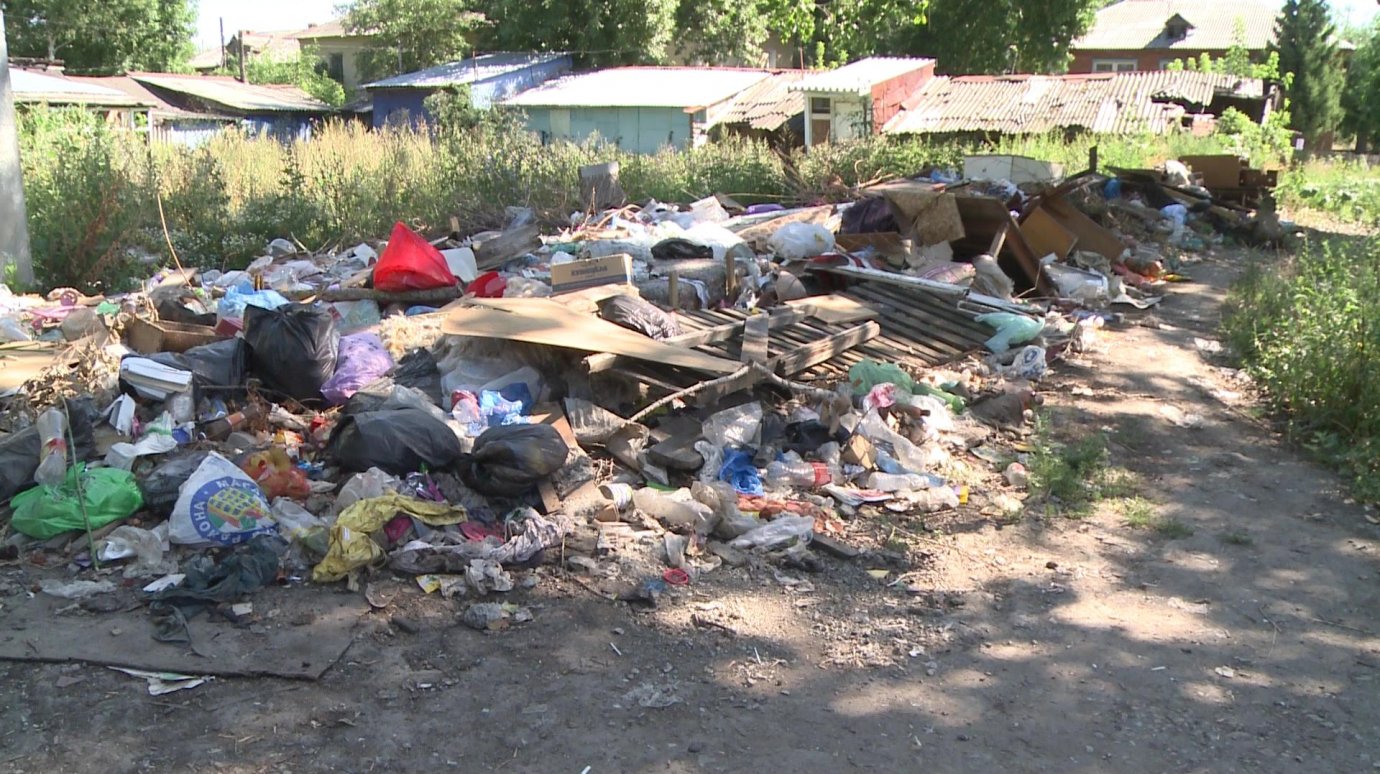 Жители Мебельной вырастили на своей улице огромную кучу мусора