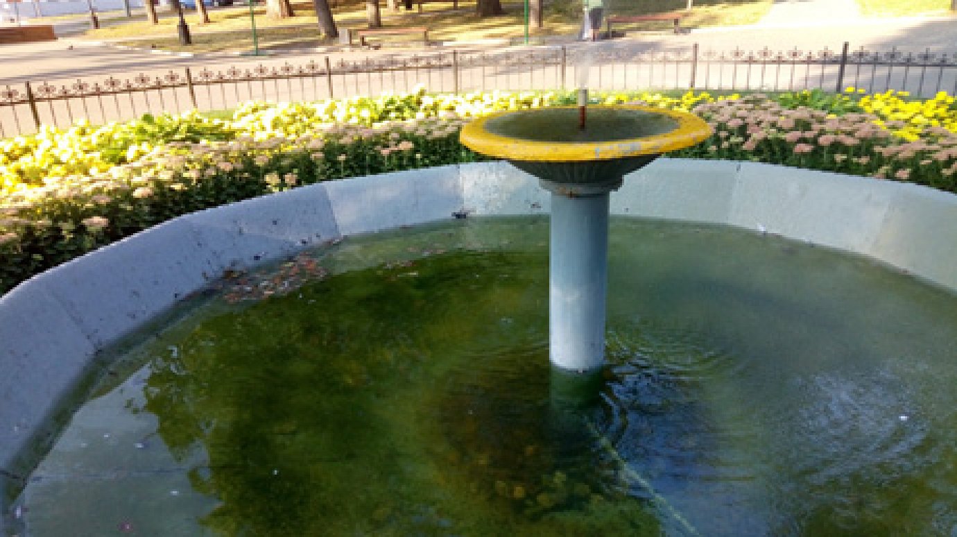 Пензячка пожаловалась на состояние фонтана в Лермонтовском сквере