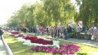В Пензе следующая ярмарка садоводов может состояться через две недели