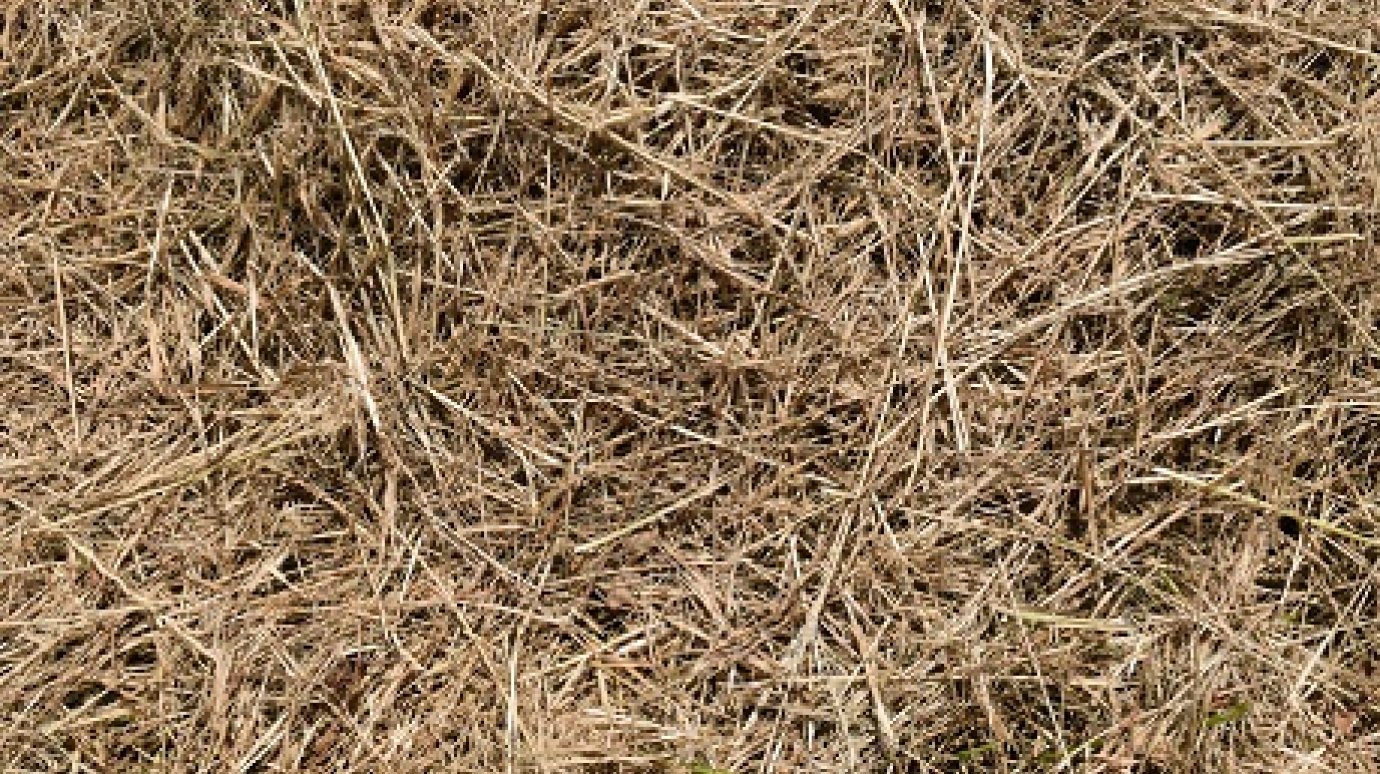 В двух селах Бессоновского района сгорели запасы сена