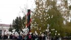 В честь Дня белых журавлей в Пензе запустили в небо воздушные шары