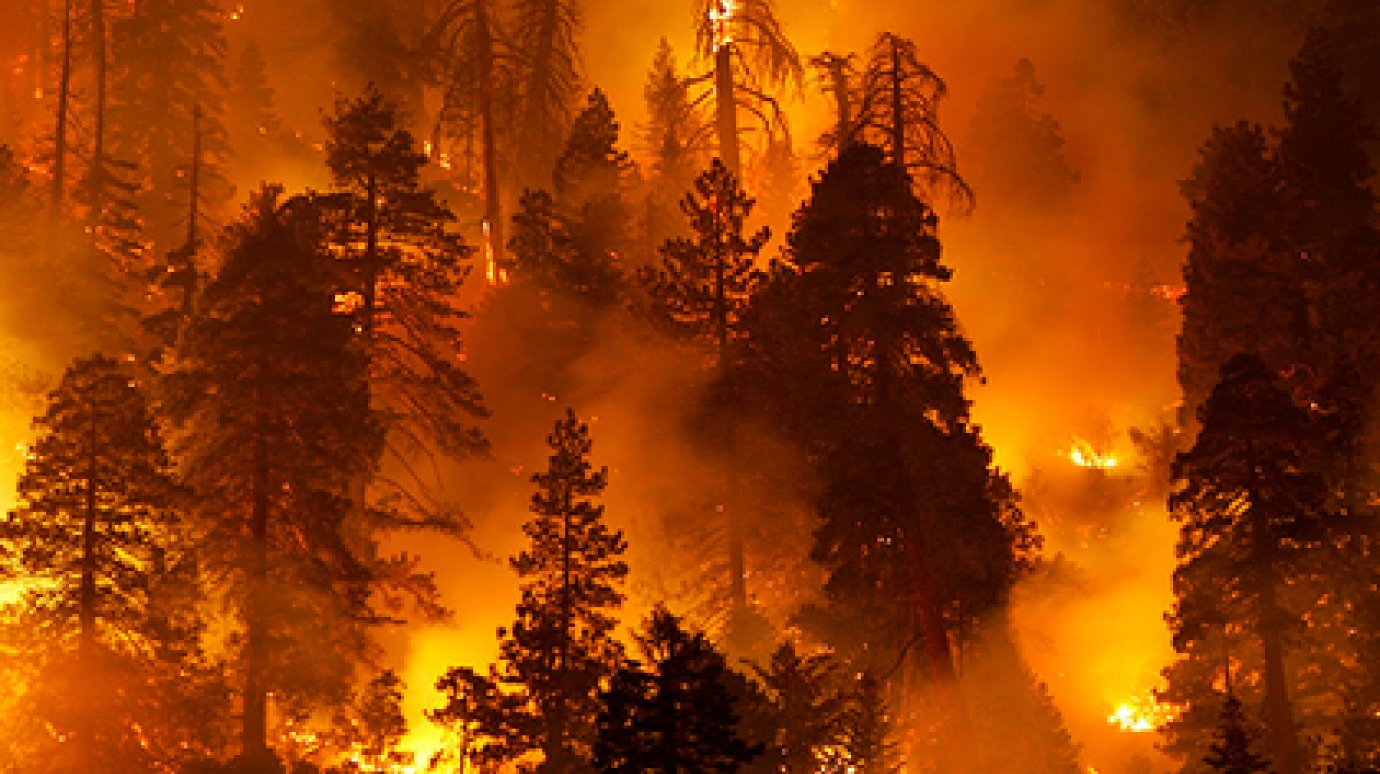 При пожаре в Калифорнии стало меньше пропавших и больше погибших