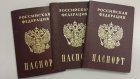 Жительница Наровчатского района получила паспорт ради пособия