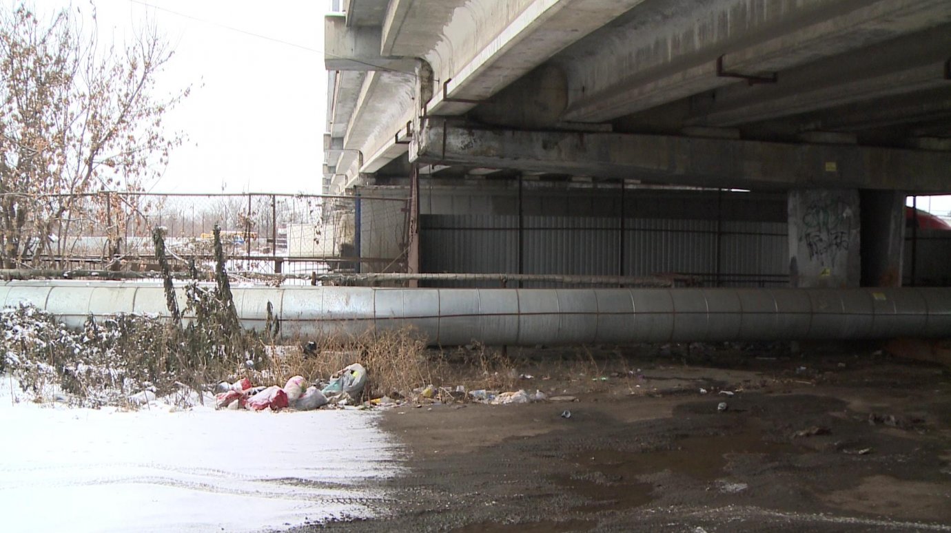 Недобросовестные пензенцы мусорят под мостом на улице Чехова