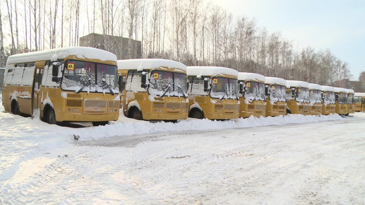 В Пензенскую область продолжают поступать новые школьные автобусы