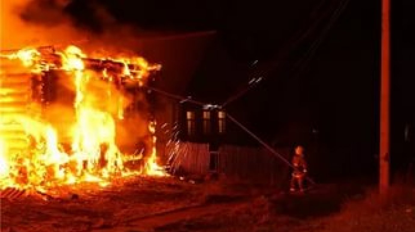 Смертельный пожар в Каменском районе: огонь первым заметил ребенок