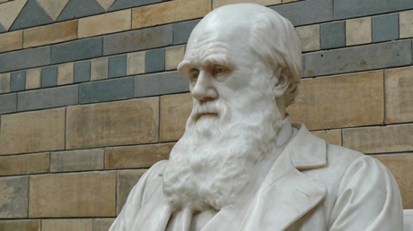 12 февраля отмечается День Дарвина