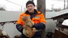 Кузнечанин спас замерзавшего на высоком столбе кота